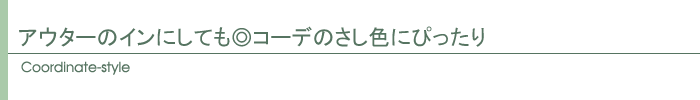 コーディネートスタイル