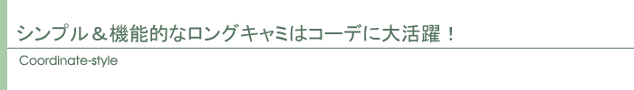 コーディネートスタイル