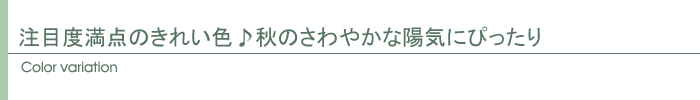 カラー