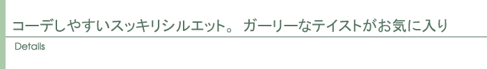 ディテール