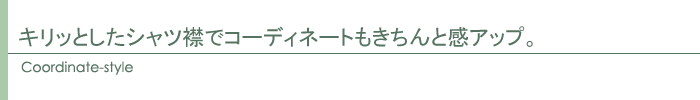 コーディネート