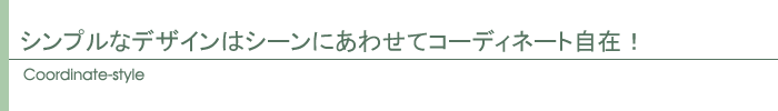 コーディネートスタイル