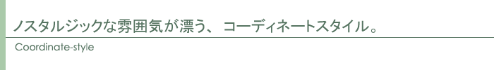 コーディネート