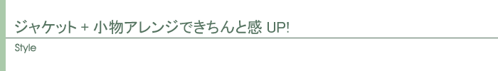 スタイル
