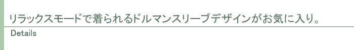 ディテール