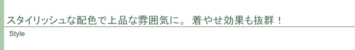 スタイル