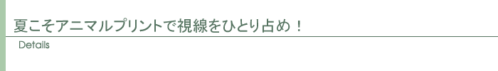 ディテール