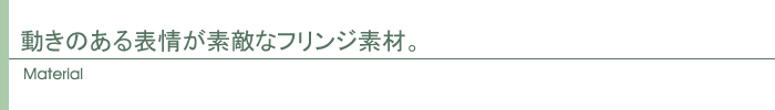動きのある表情が素敵なフリンジ素材。