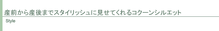 スタイル