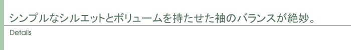ディテール