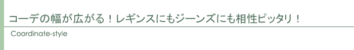 コーディネートスタイル