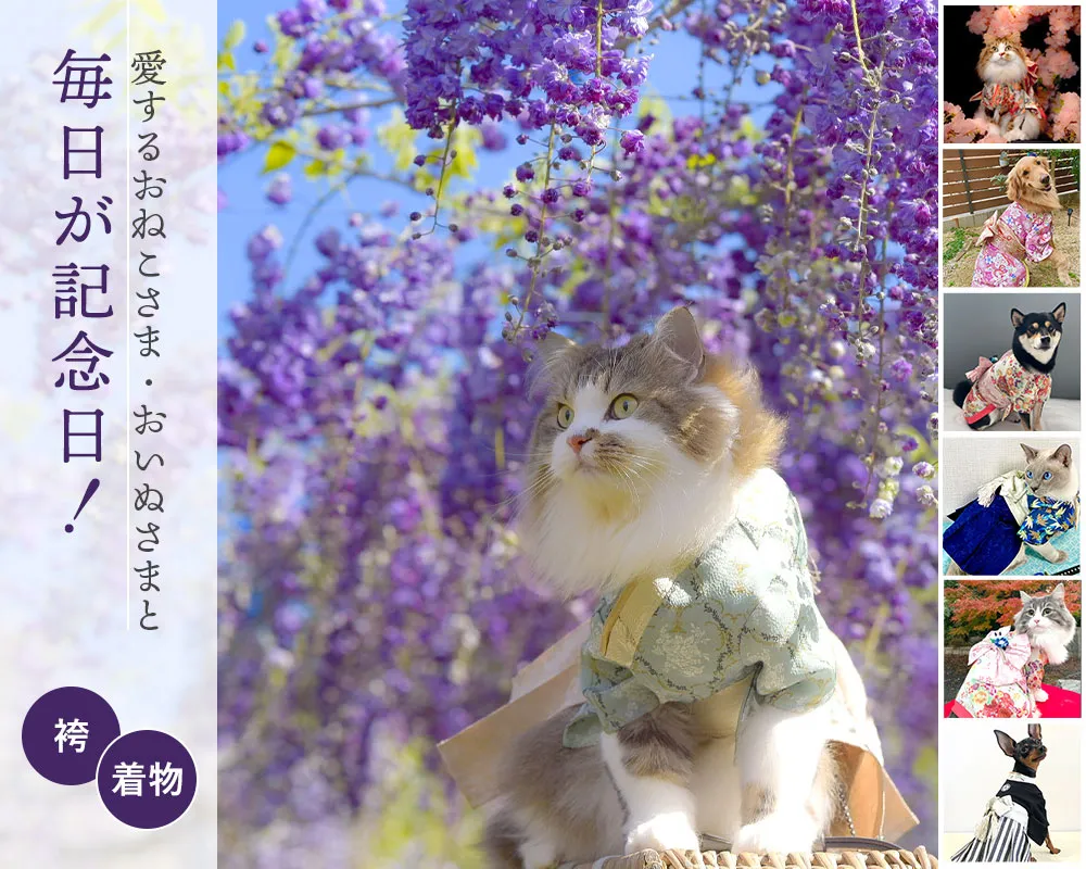 袴着物