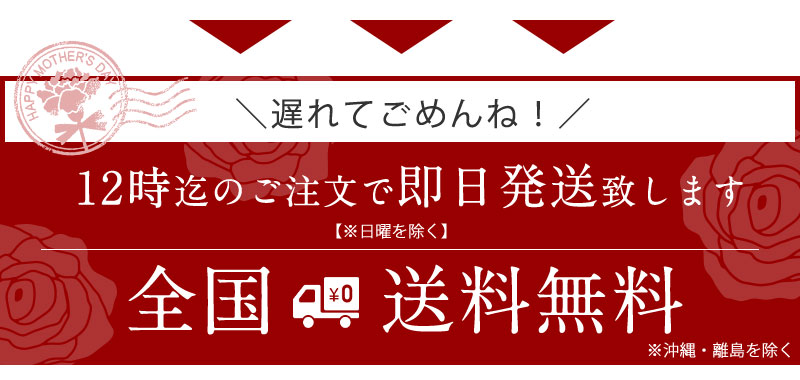 母の日 4月下旬 配送