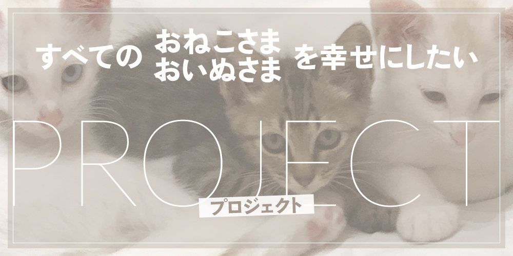 すべてのおねこさま、おいぬさまを幸せにしたいプロジェクト