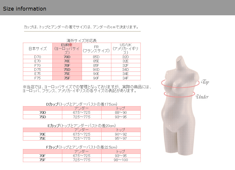 イメージ画像1