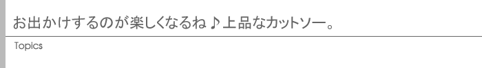 お出かけするのが楽しくなるね♪ 上品なカットソー。