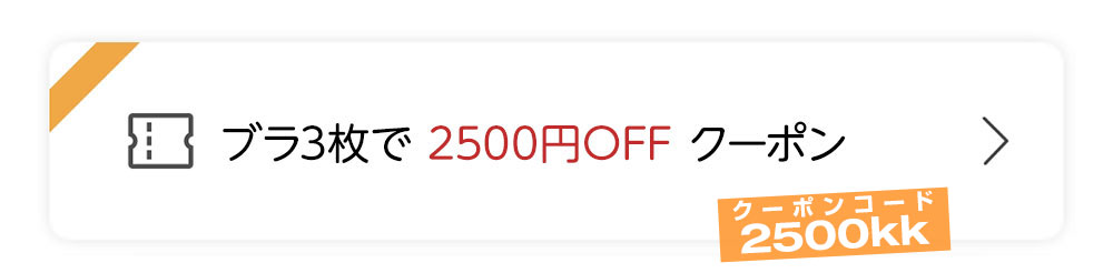 3点で2500円OFF