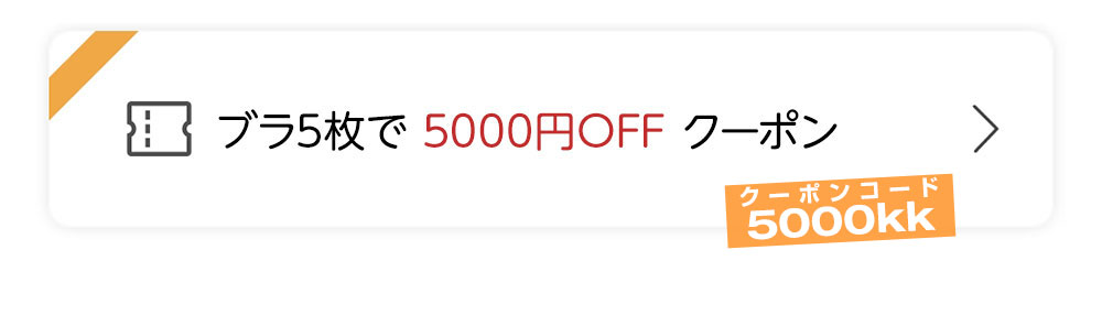 5点で5000円OFF