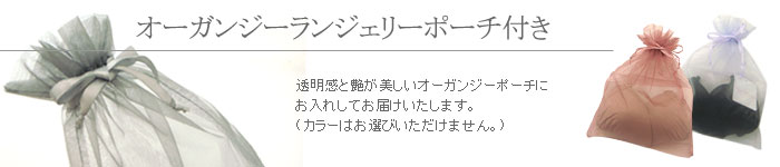 ポーチ入り