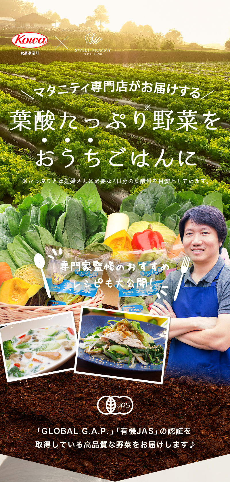 オーガニック野菜セット