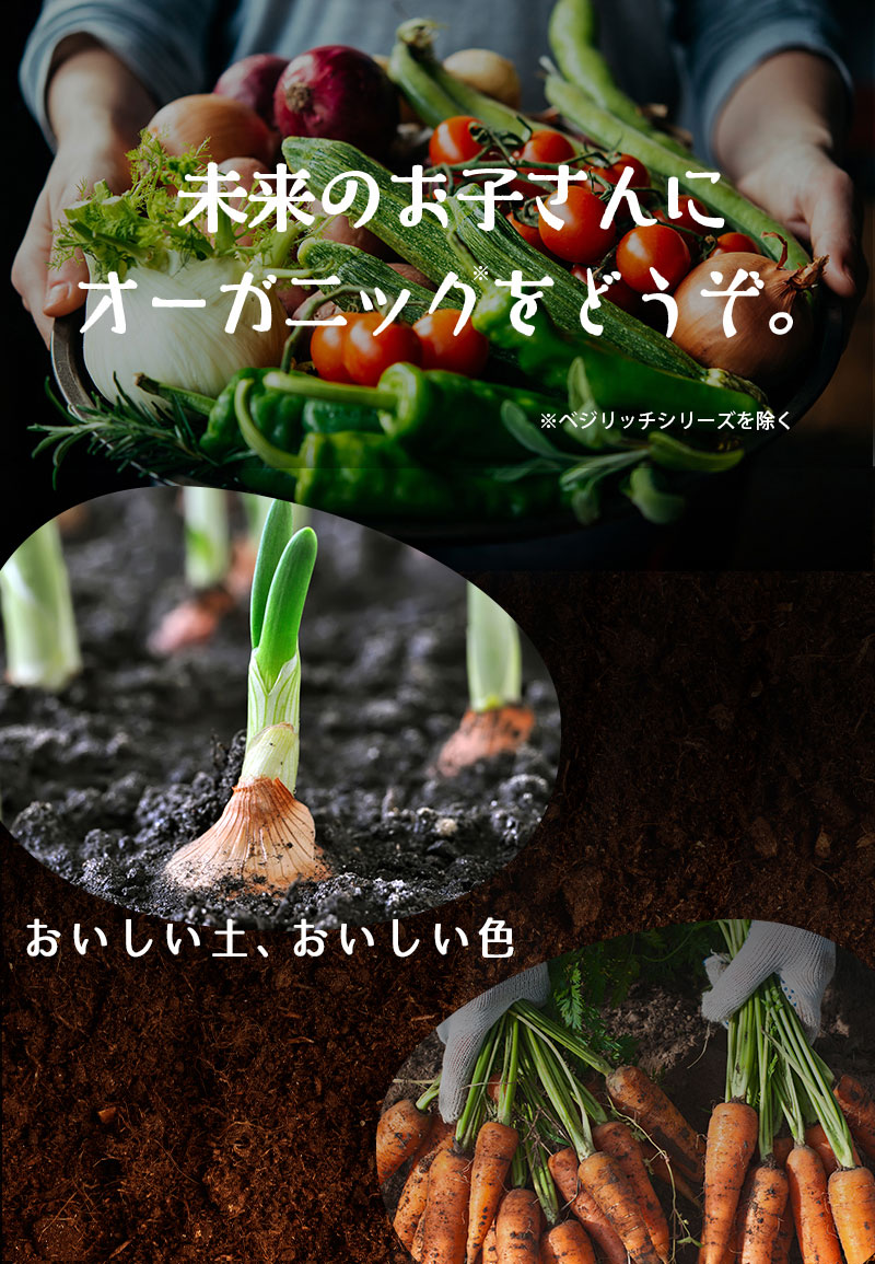 野菜 詰め合わせ 野菜セット 野菜 オーガニック野菜