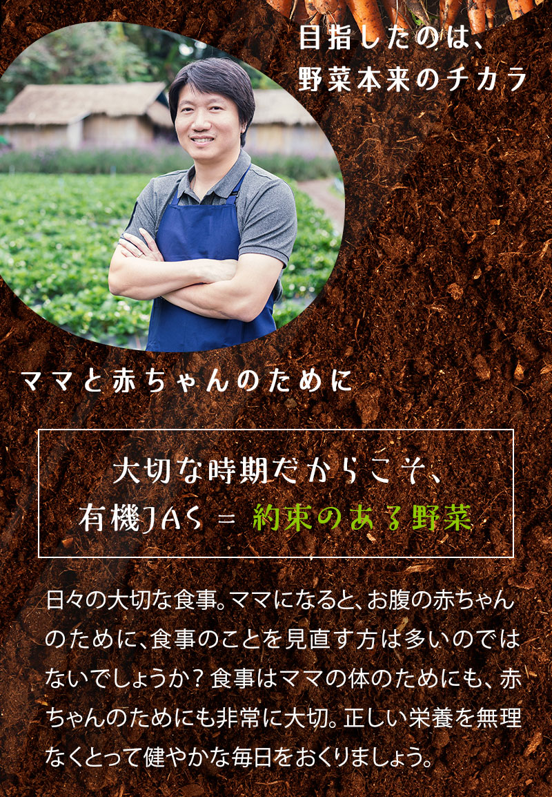野菜 詰め合わせ 野菜セット 野菜 オーガニック野菜