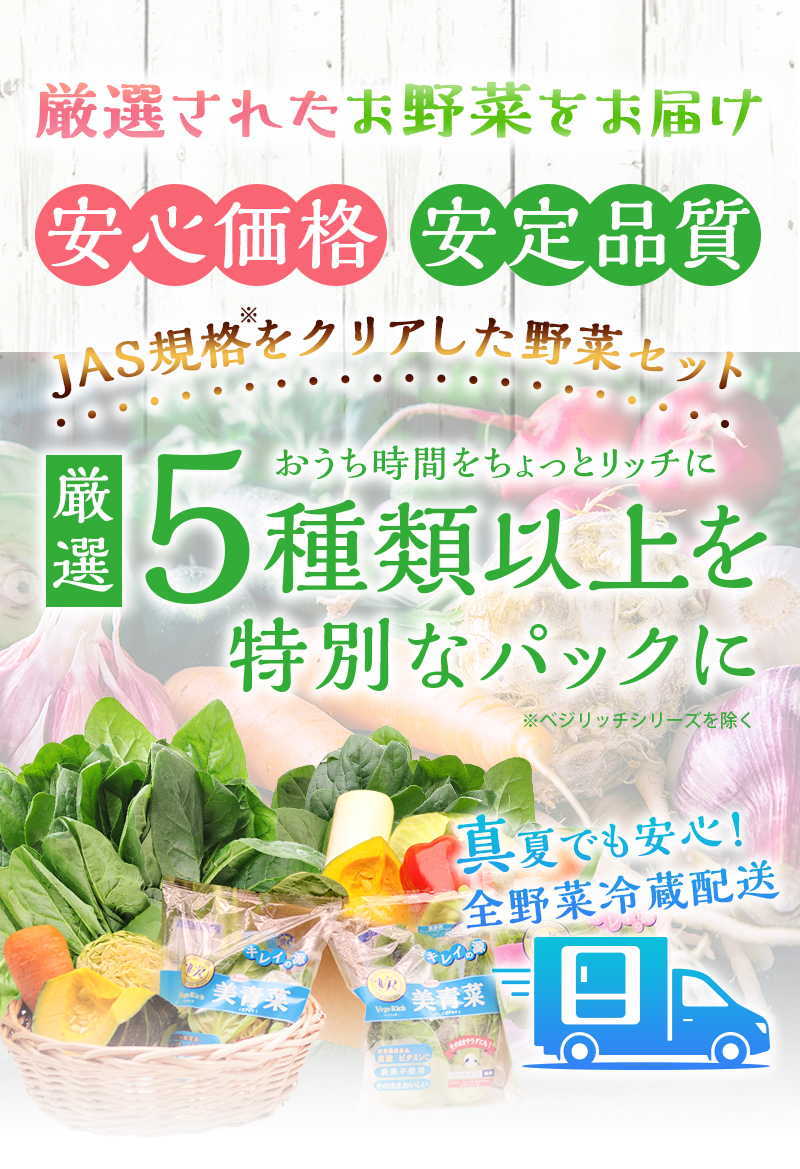 有機野菜 セット 送料無料 送料込 葉酸