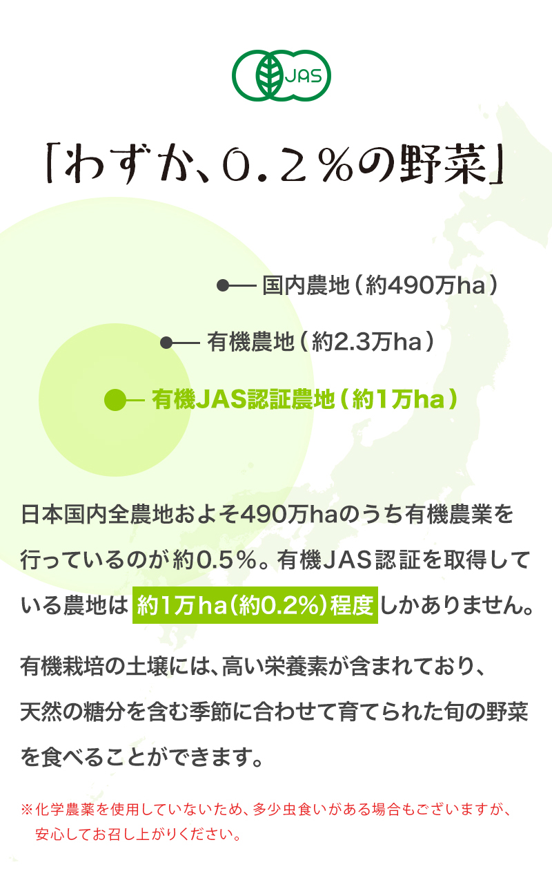 おうちごはん お試し ベジリッチ 美白菜 美青菜 マタニティ 興和