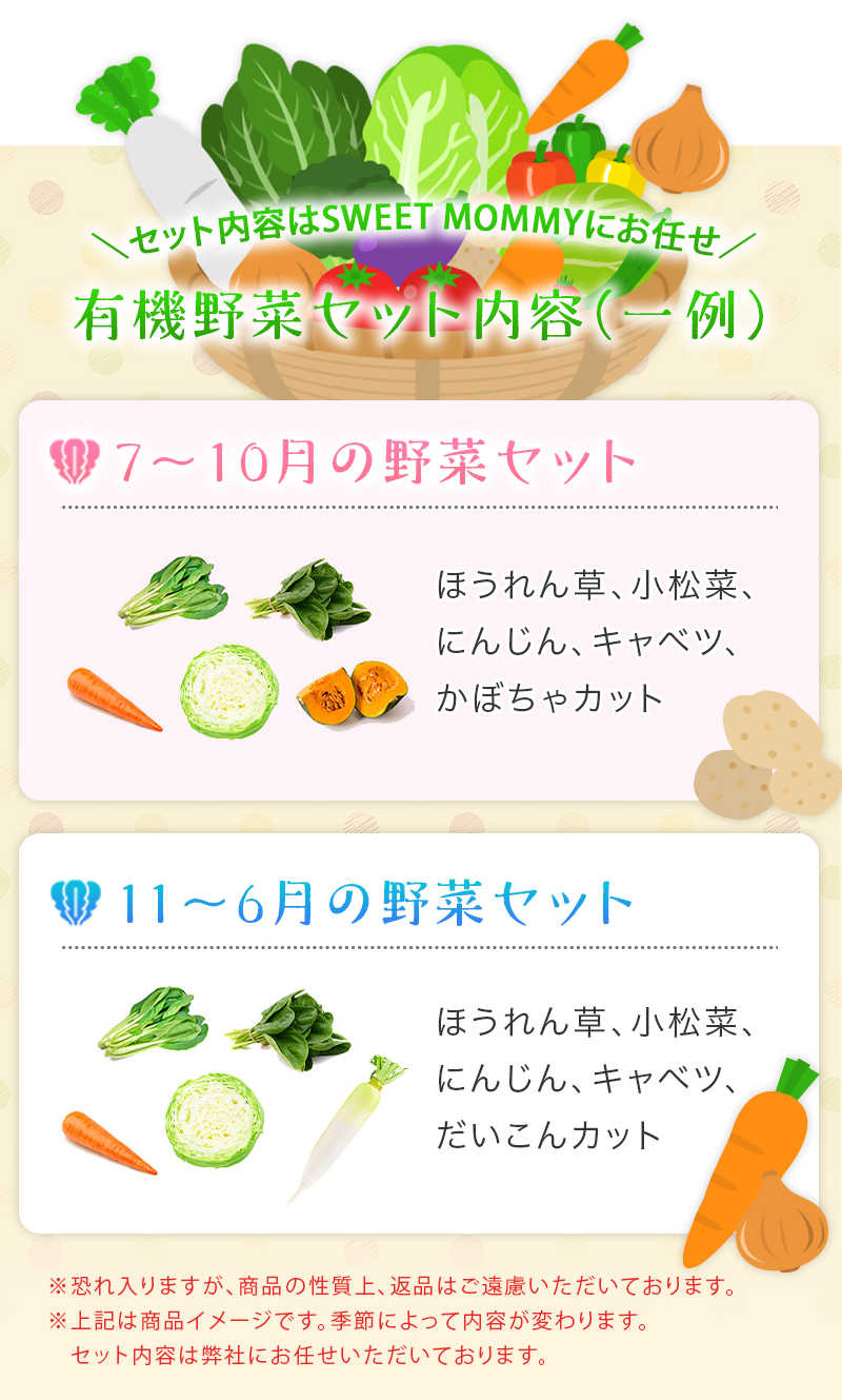 オーガニック野菜セット
