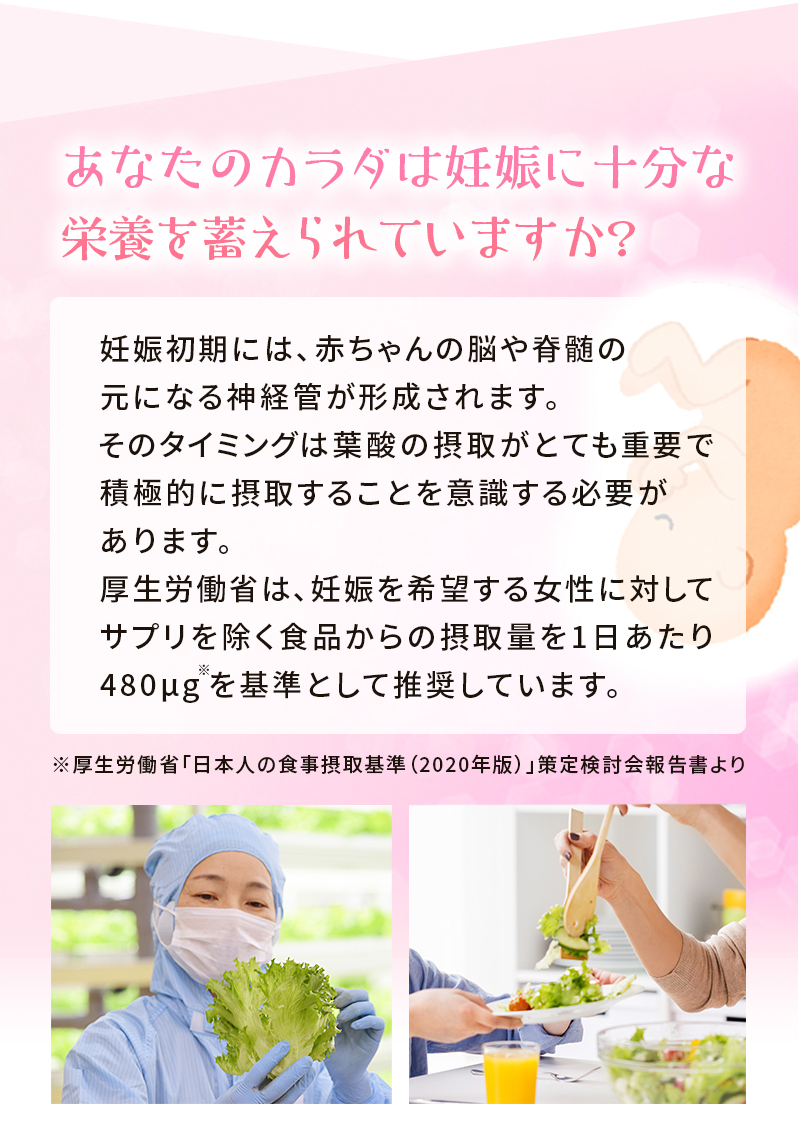 野菜 詰め合わせ 野菜セット 野菜 オーガニック野菜