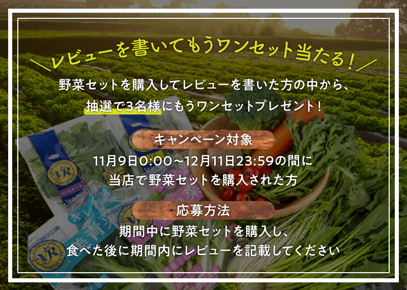 レビュープレゼント