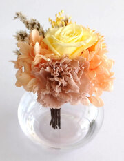 イエローオレンジ系