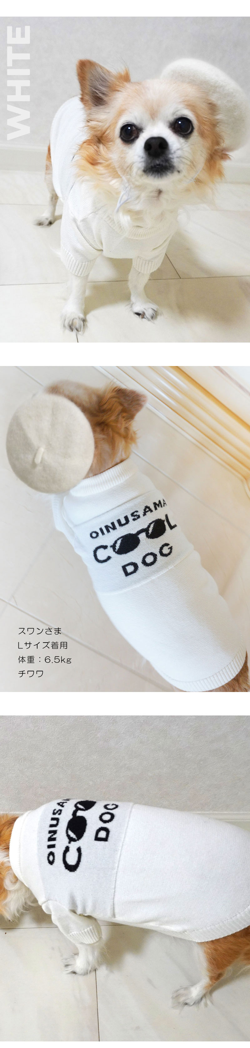 肌触り抜群！背中のロゴが印象的でうしろ姿が可愛いCOOL DOG クールドッグニット