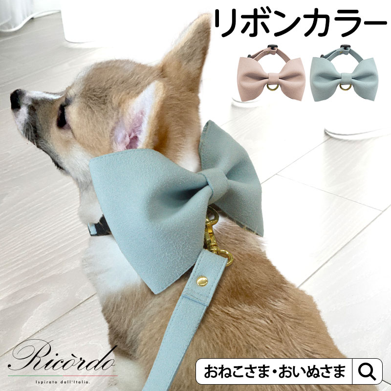 ビッグリボン カラー