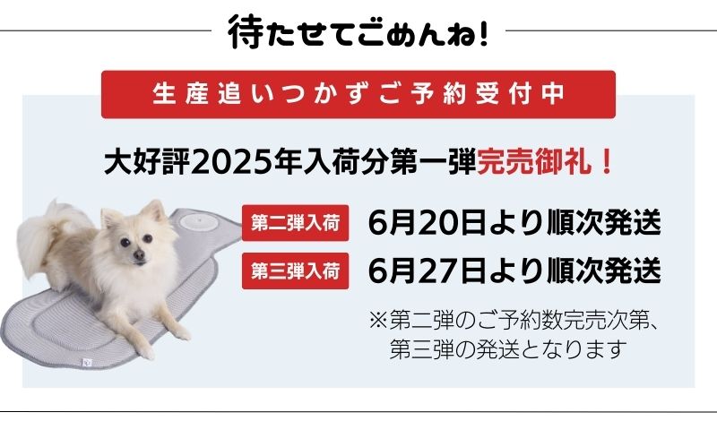 ママさま専用 カネソン ママニップルガード(フリー)＆シールド(M) 乳頭保護器