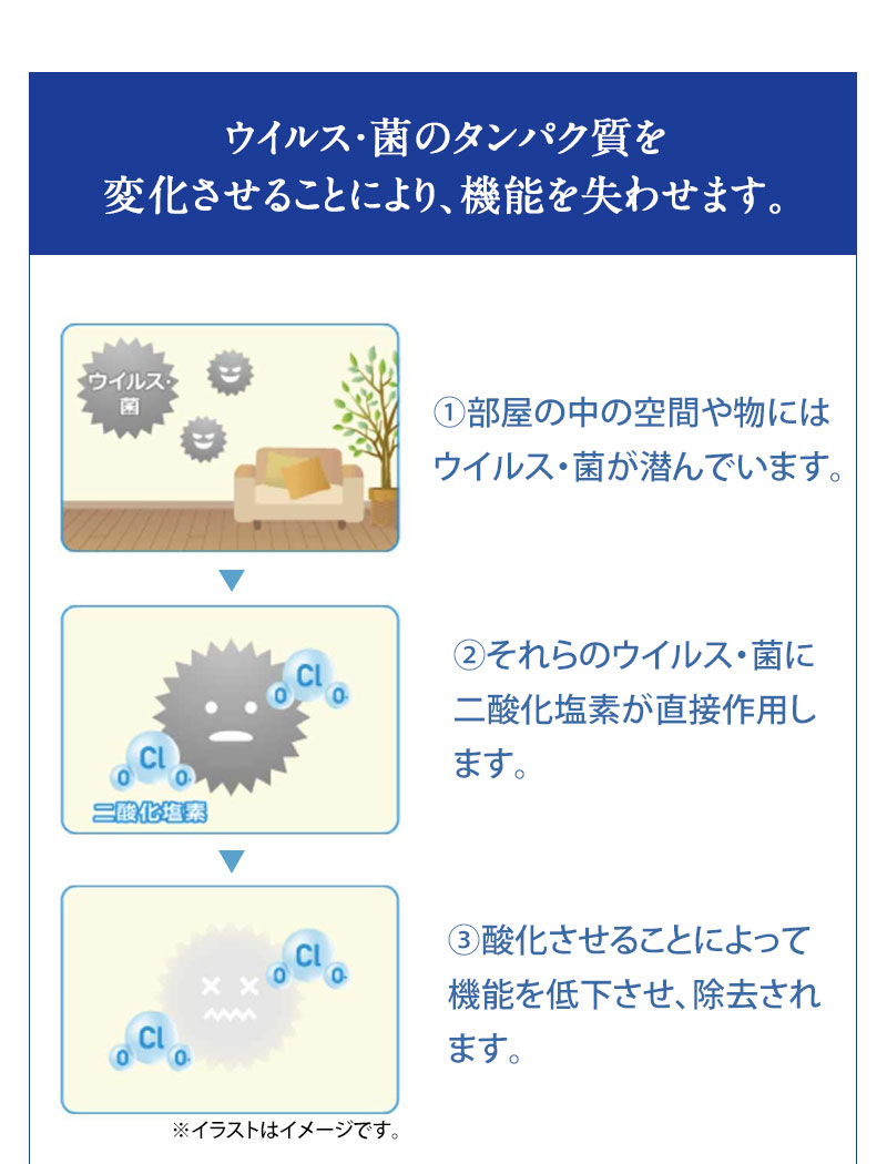 ウイルス・菌のタンパク質を酸化させ、除去します！