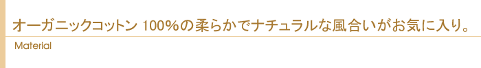 素材