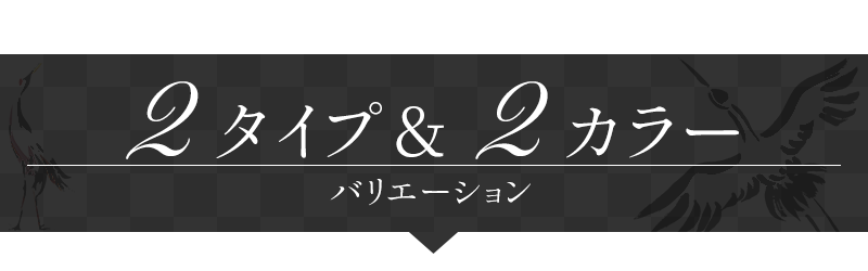 2タイプ、2カラー