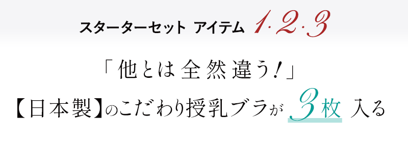 アイテム1と2、伝説の美胸授乳ブラとお揃いショーツのSET