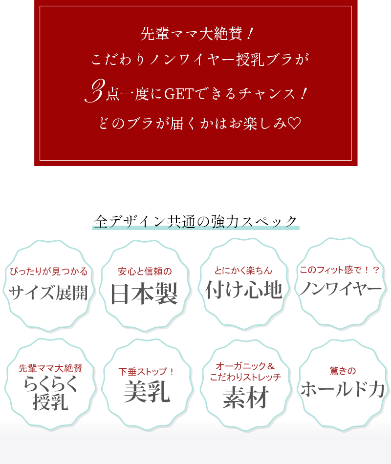 アイテム1と2、伝説の美胸授乳ブラとお揃いショーツがランダムにどれか一つ入ります