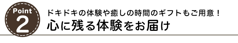 ドキドキの体験や癒しの時間のギフトもご用意！