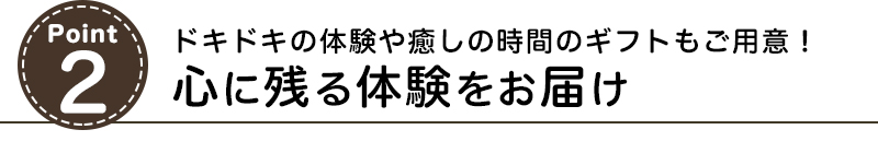 ドキドキの体験や癒しの時間のギフトもご用意！